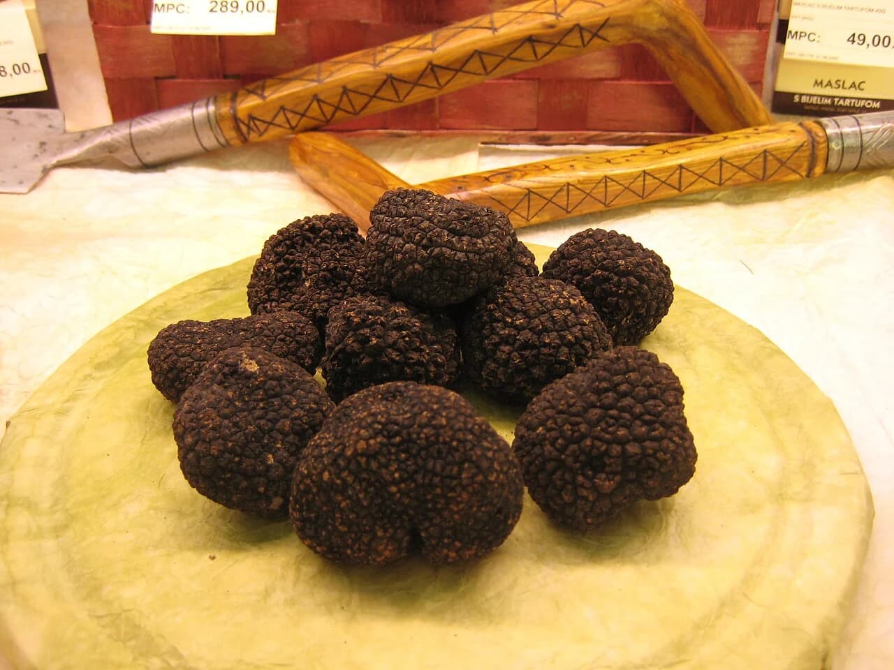 Truffe, illustration du produit