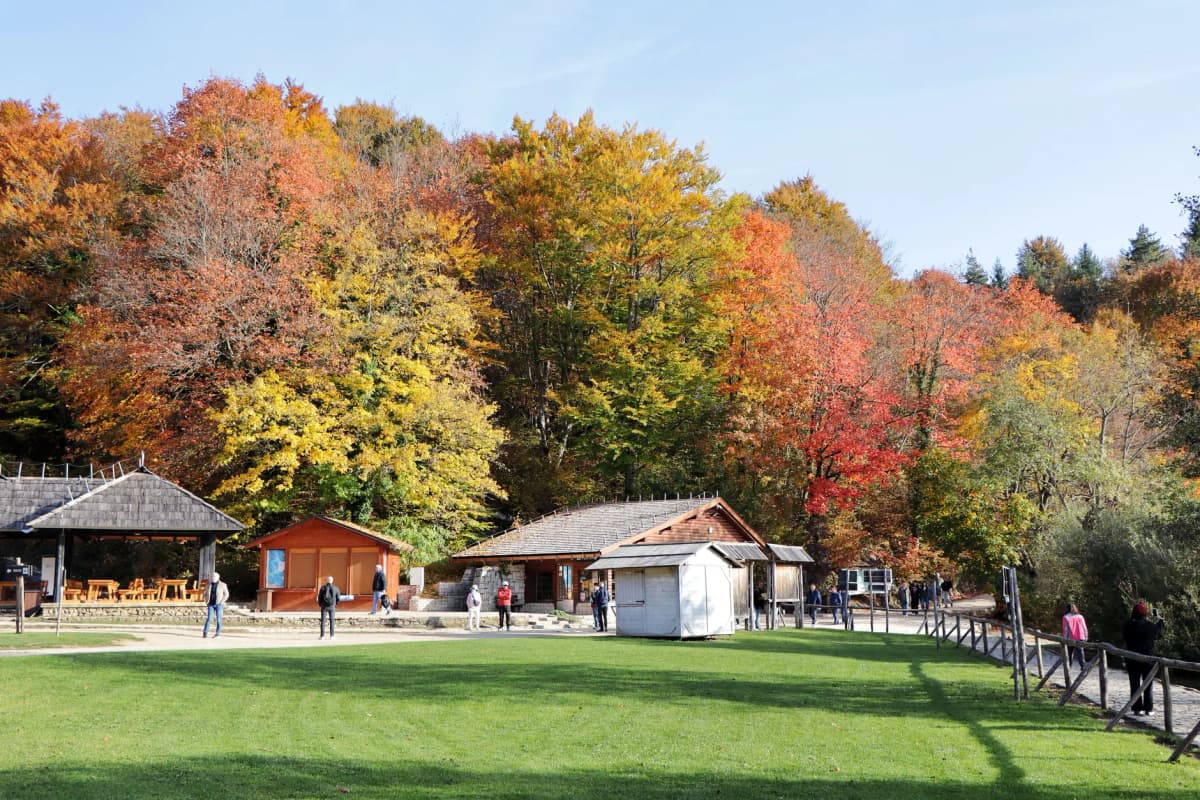 Explore the vibrant autumn colors at Plitvice Lakes National Park in Croatia. Perfect for travel and nature enthusiasts.
